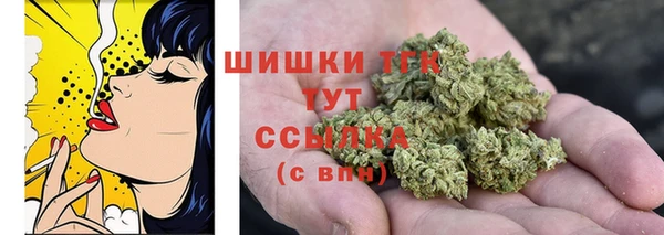 спиды Арсеньев