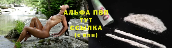 прущий лед Армянск