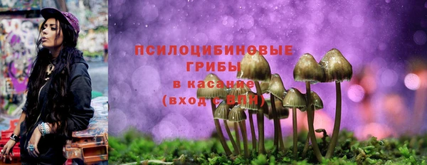 каннабис Аркадак