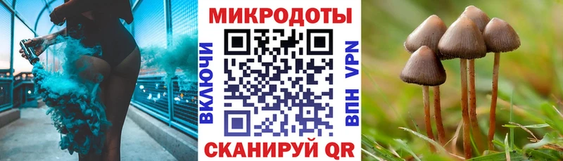 Галлюциногенные грибы прущие грибы  где найти   Уяр 